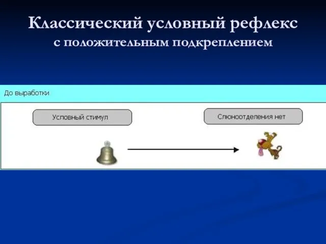 Классический условный рефлекс с положительным подкреплением