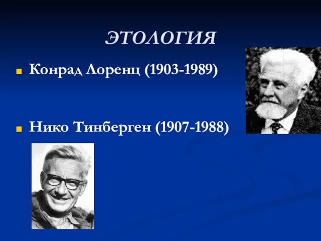 ЭТОЛОГИЯ Конрад Лоренц (1903-1989) Нико Тинберген (1907-1988)