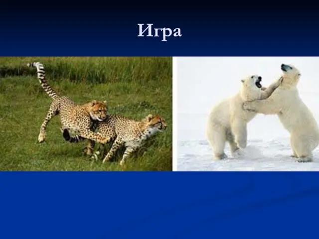 Игра