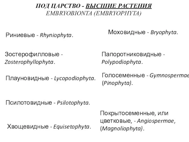 ПОД ЦАРСТВО - ВЫСШИЕ РАСТЕНИЯ EMBRYOBIONTA (EMBRYOPHYTA) Риниевые - Rhyniophyta. Папоротниковидные