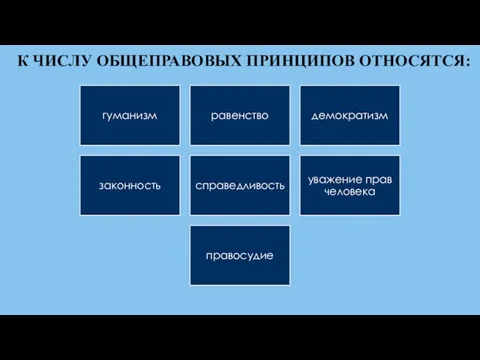 К ЧИСЛУ ОБЩЕПРАВОВЫХ ПРИНЦИПОВ ОТНОСЯТСЯ: