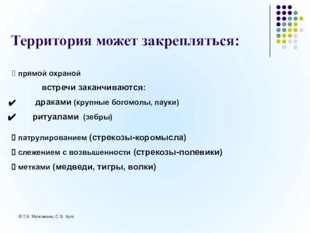 © Т.В. Маковеева, С.В. Буга Территория может закрепляться: прямой охраной встречи