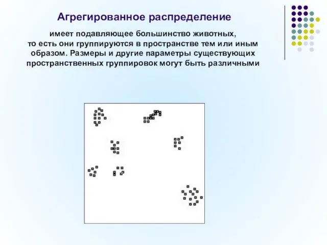 Агрегированное распределение имеет подавляющее большинство животных, то есть они группируются в