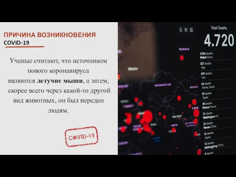 ПРИЧИНА ВОЗНИКНОВЕНИЯ COVID-19 Ученые считают, что источником нового коронавируса являются летучие