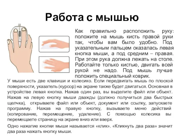 Работа с мышью Как правильно расположить руку: положите на мышь кисть