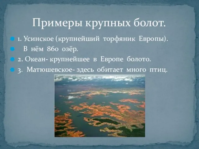 1. Усинское (крупнейший торфяник Европы). В нём 860 озёр. 2. Океан-