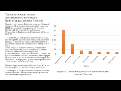 Таксономический состав фитопланктона на станции Вайменка дельты реки Великой В августе