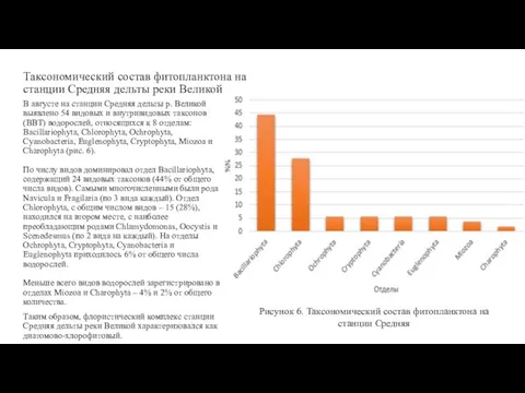 Таксономический состав фитопланктона на станции Средняя дельты реки Великой В августе