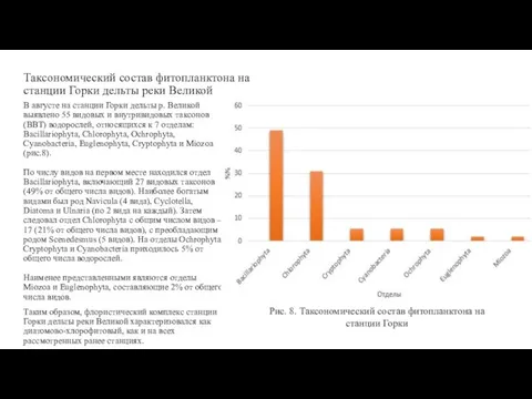 Таксономический состав фитопланктона на станции Горки дельты реки Великой В августе