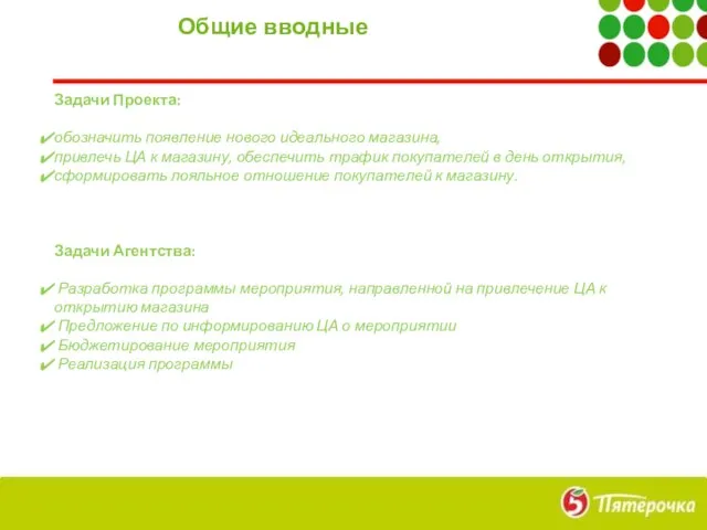 Общие вводные Задачи Проекта: обозначить появление нового идеального магазина, привлечь ЦА