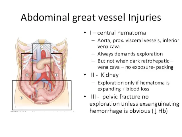 Abdominal great vessel Injuries I – central hematoma Aorta, prox. visceral