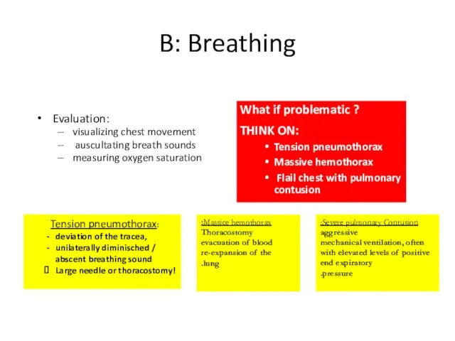 B: Breathing Evaluation: visualizing chest movement auscultating breath sounds measuring oxygen