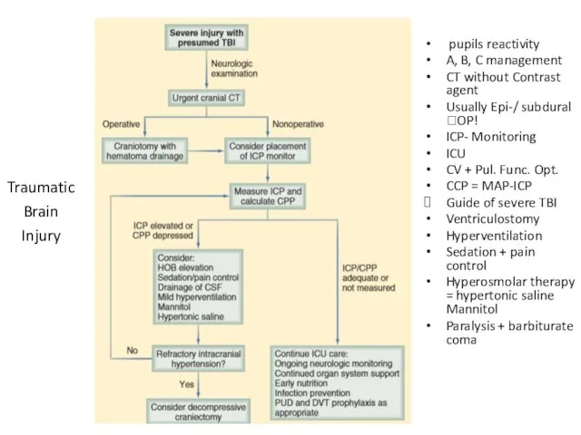 pupils reactivity A, B, C management CT without Contrast agent Usually