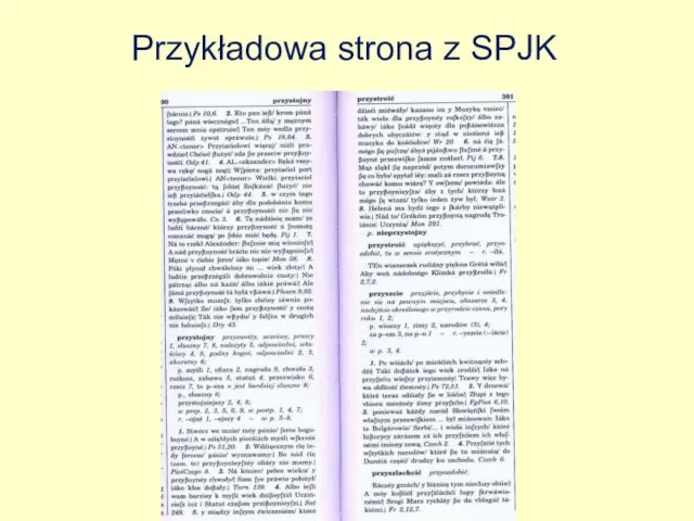 Przykładowa strona z SPJK