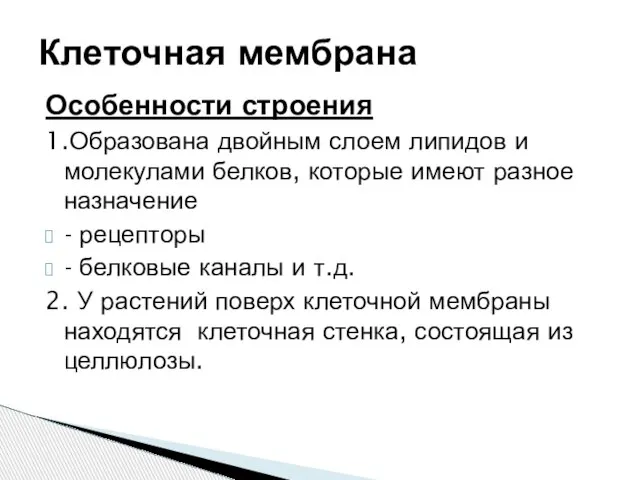 Особенности строения 1.Образована двойным слоем липидов и молекулами белков, которые имеют