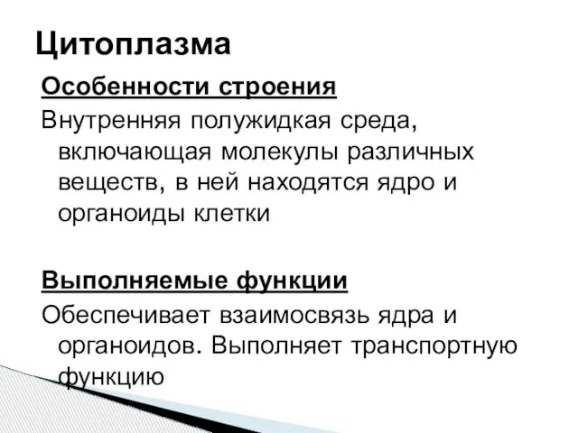 Особенности строения Внутренняя полужидкая среда, включающая молекулы различных веществ, в ней