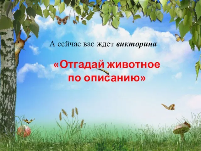 А сейчас вас ждет викторина «Отгадай животное по описанию»