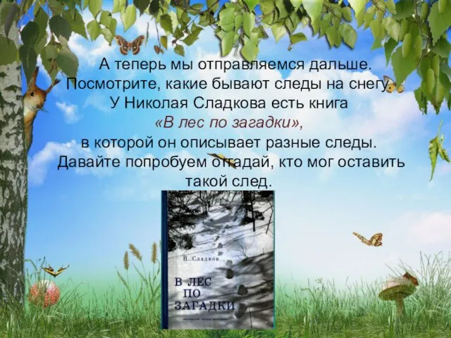 А теперь мы отправляемся дальше. Посмотрите, какие бывают следы на снегу.