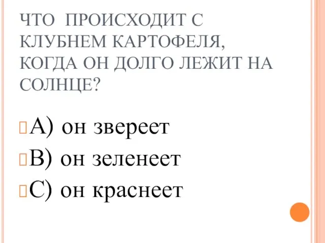 ЧТО ПРОИСХОДИТ С КЛУБНЕМ КАРТОФЕЛЯ, КОГДА ОН ДОЛГО ЛЕЖИТ НА СОЛНЦЕ?