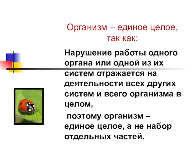 Организм – единое целое, так как: Нарушение работы одного органа или