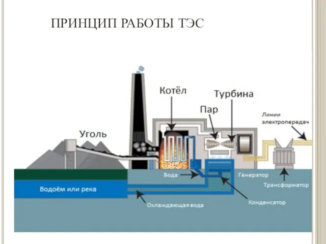 ПРИНЦИП РАБОТЫ ТЭС