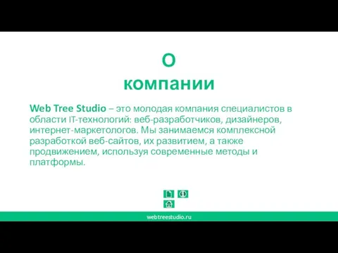 Web Tree Studio – это молодая компания специалистов в области IT-технологий: