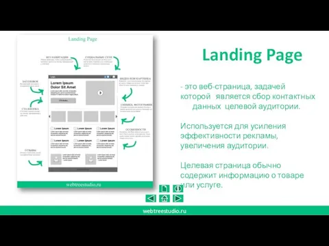 Landing Page webtreestudio.ru - это веб-страница, задачей которой является сбор контактных