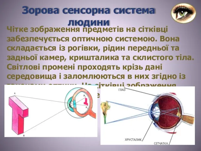 Чітке зображення предметів на сітківці забезпечується оптичною системою. Вона складається із