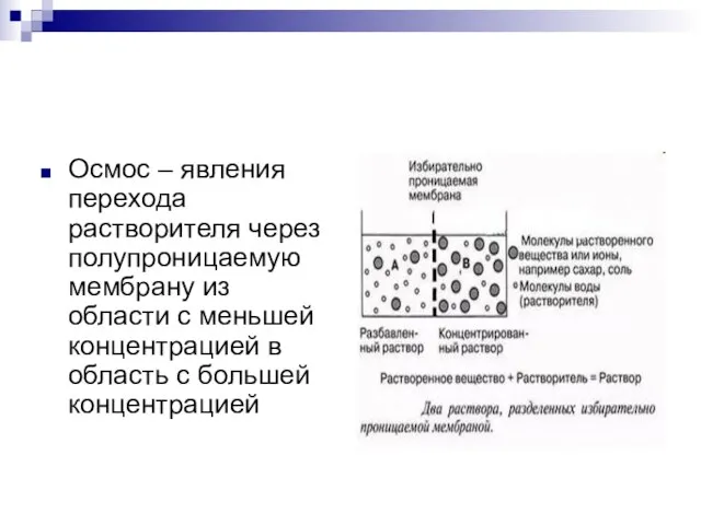 Осмос – явления перехода растворителя через полупроницаемую мембрану из области с