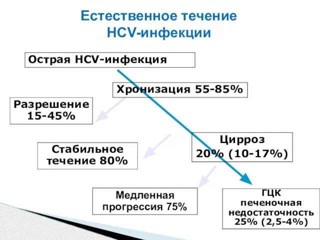 Естественное течение HCV-инфекции Стабильное течение 80% ГЦК печеночная недостаточность 25% (2,5-4%)