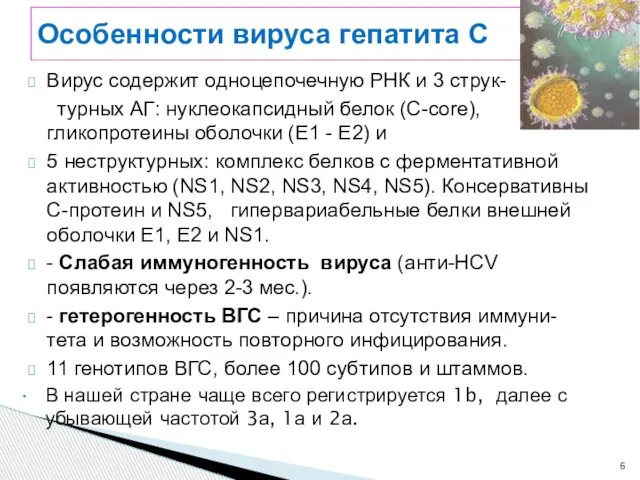 Особенности вируса гепатита С Вирус содержит одноцепочечную РНК и 3 струк-