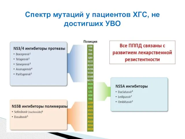 Спектр мутаций у пациентов ХГС, не достигших УВО