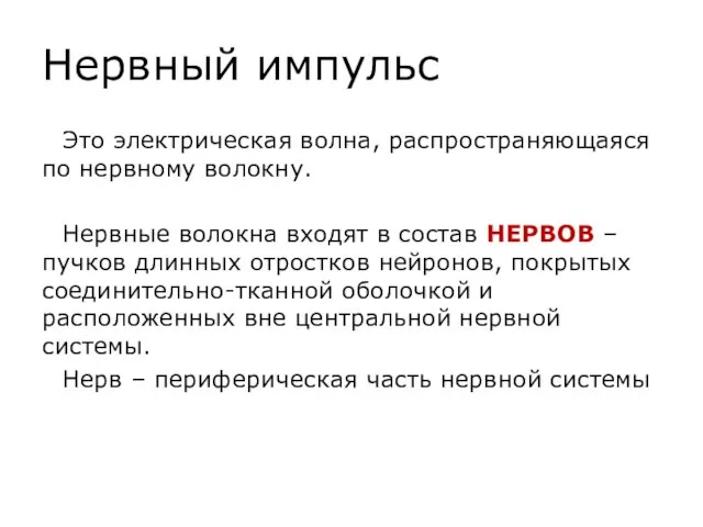 Нервный импульс Это электрическая волна, распространяющаяся по нервному волокну. Нервные волокна