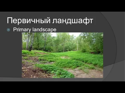 Первичный ландшафт Primary landscape