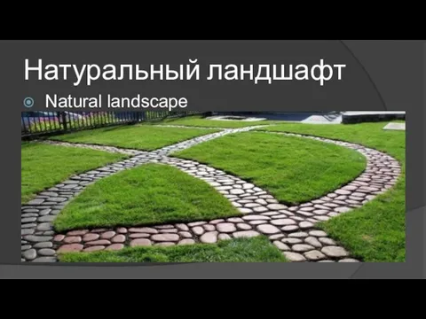 Натуральный ландшафт Natural landscape