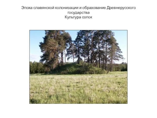 Эпоха славянской колонизации и образование Древнерусского государства Культура сопок