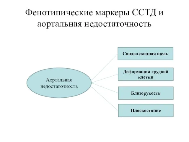 Фенотипические маркеры ССТД и аортальная недостаточность Аортальная недостаточность Сандалевидная щель Деформация грудной клетки Близорукость Плоскостопие