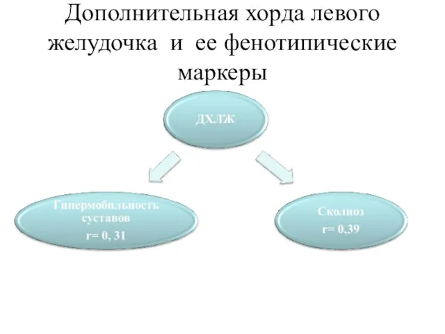 Дополнительная хорда левого желудочка и ее фенотипические маркеры