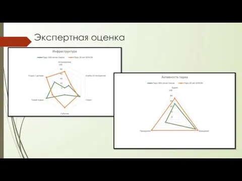 Экспертная оценка