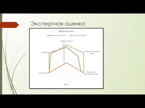 Экспертная оценка