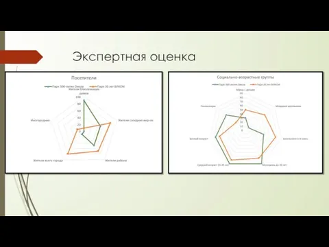 Экспертная оценка