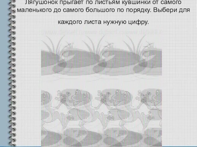 Лягушонок прыгает по листьям кувшинки от самого маленького до самого большого