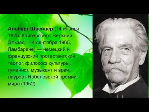 Альберт Швейцер (14 января 1875, Кайзерсберг, Верхний Эльзас — 4 сентября