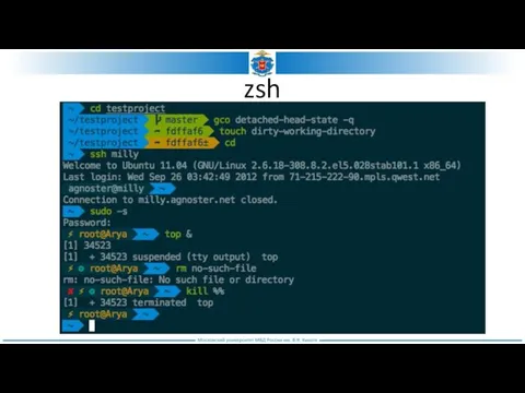 zsh