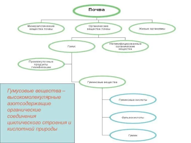 Гумусовые вещества –высокомолекулярные азотсодержащие органические соединения циклического строения и кислотной природы