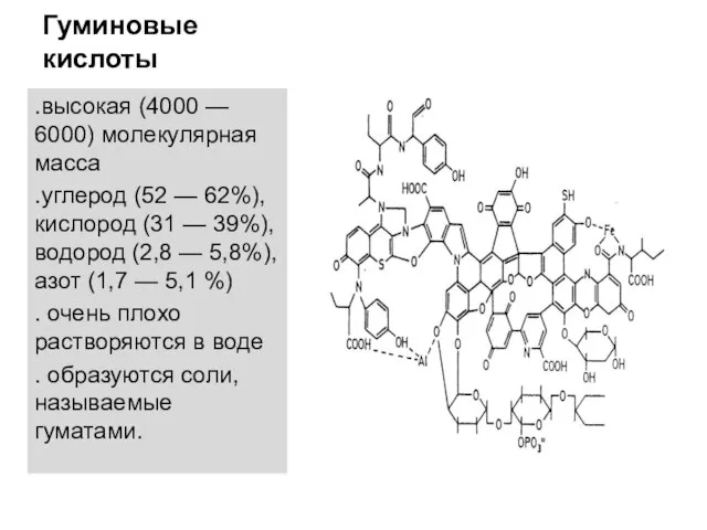 Гуминовые кислоты .высокая (4000 — 6000) молекулярная масса .углерод (52 —