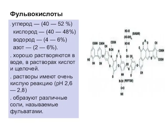 Фульвокислоты . углерод — (40 — 52 %) кислород — (40