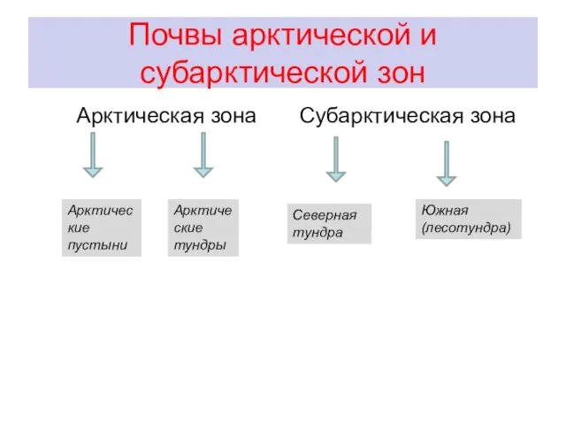 Почвы арктической и субарктической зон Арктическая зона Субарктическая зона Арктические пустыни