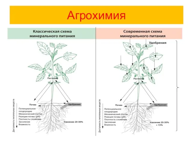 Агрохимия