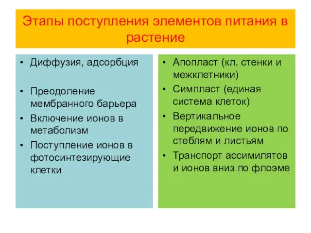 Этапы поступления элементов питания в растение Диффузия, адсорбция Преодоление мембранного барьера